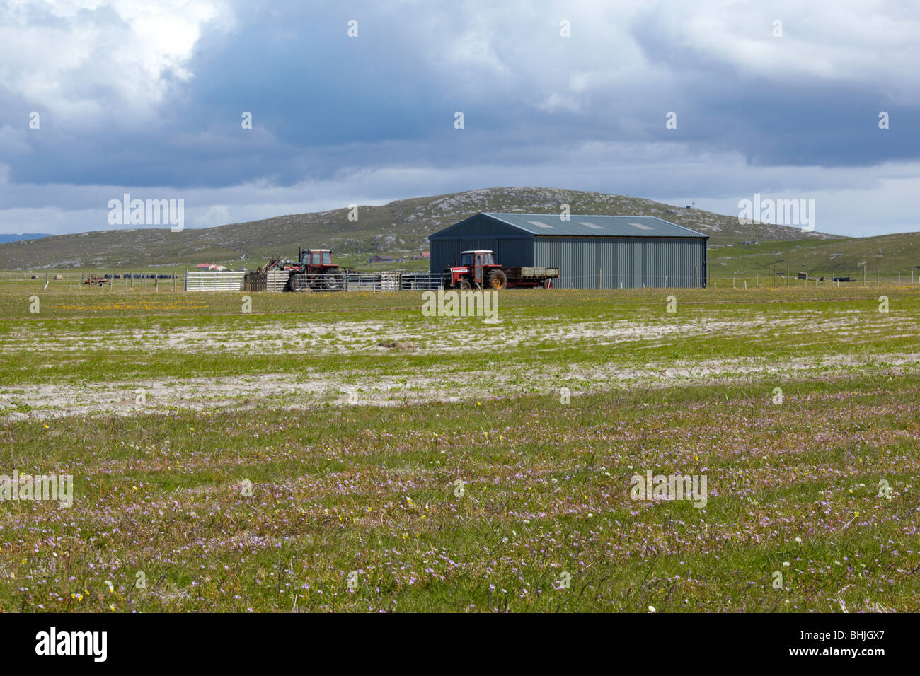 Crofting on the machair of the island of Berneray in the Outer Hebrides, Scotland Stock Photo
