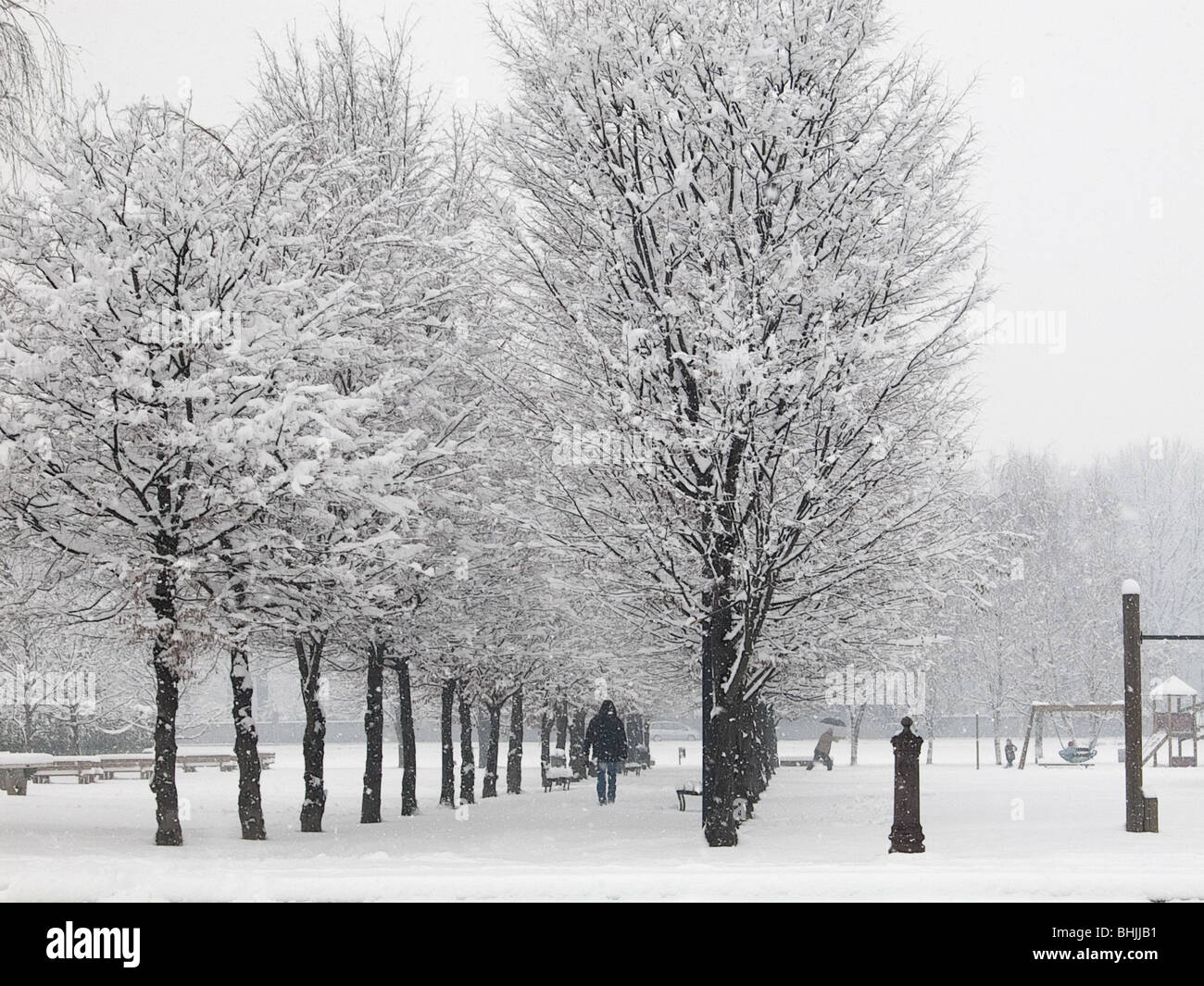 Snow covered trees in the park and man walking Stock Photo - Alamy