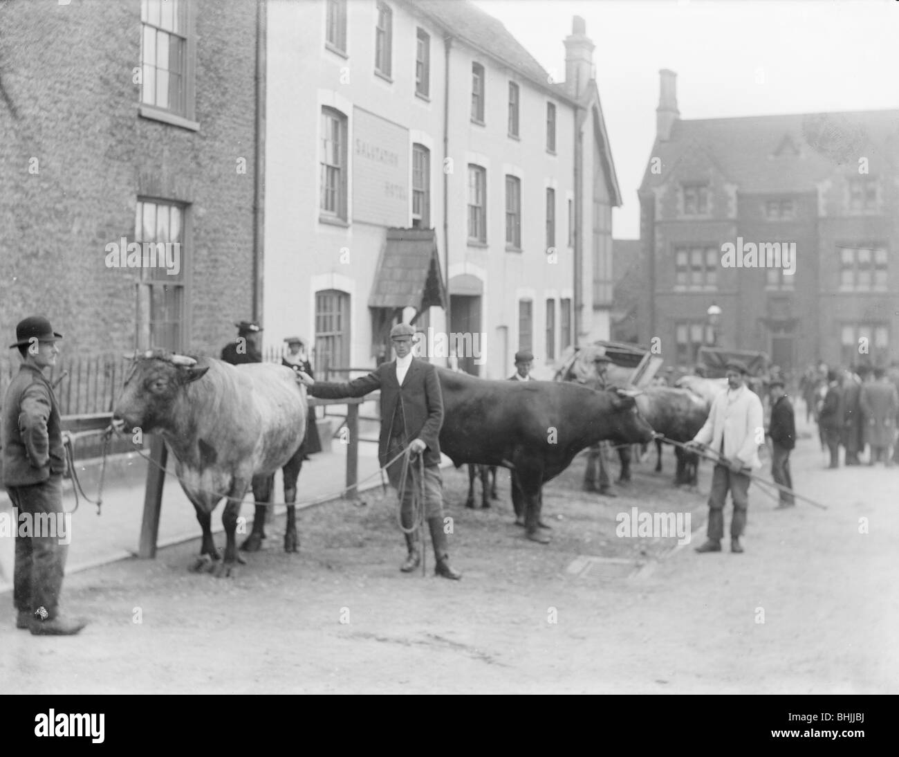 Salutation Inn, Faringdon, Oxfordshire, 1904. Artist: Henry Taunt Stock ...