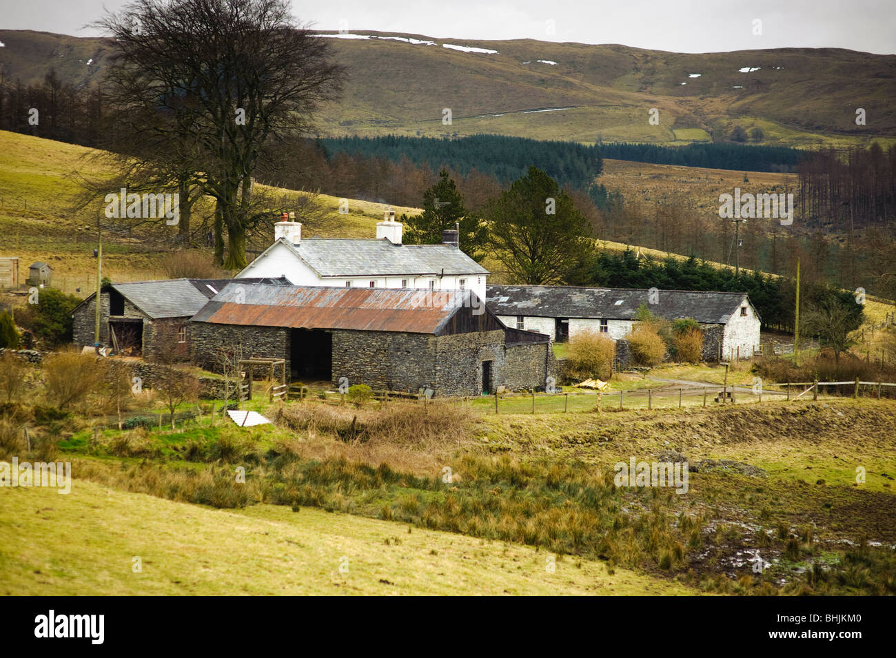 GELMAST; Upland hill farm on the Pwllpeiran estate, Ceredigion Wales UK Stock Photo