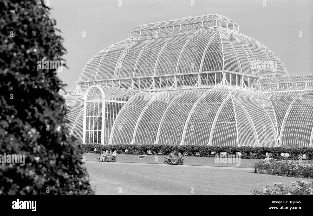 The Palm House, Kew Gardens, Greater London, 1945-1980. Artist: Eric de Maré Stock Photo