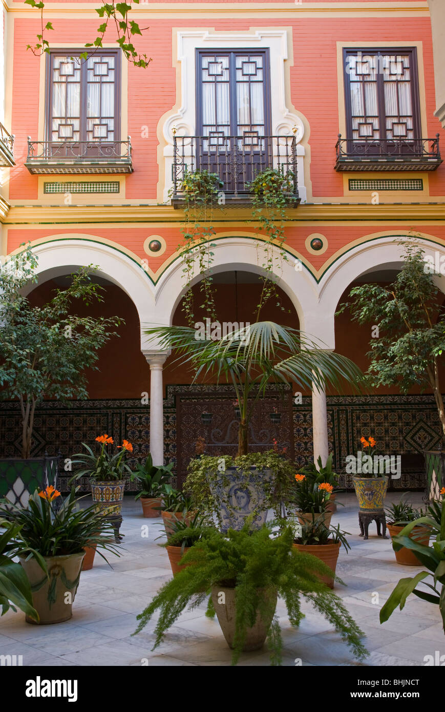 Courtyard with tropical plants, Seville, Andalucia, Spain Stock Photo