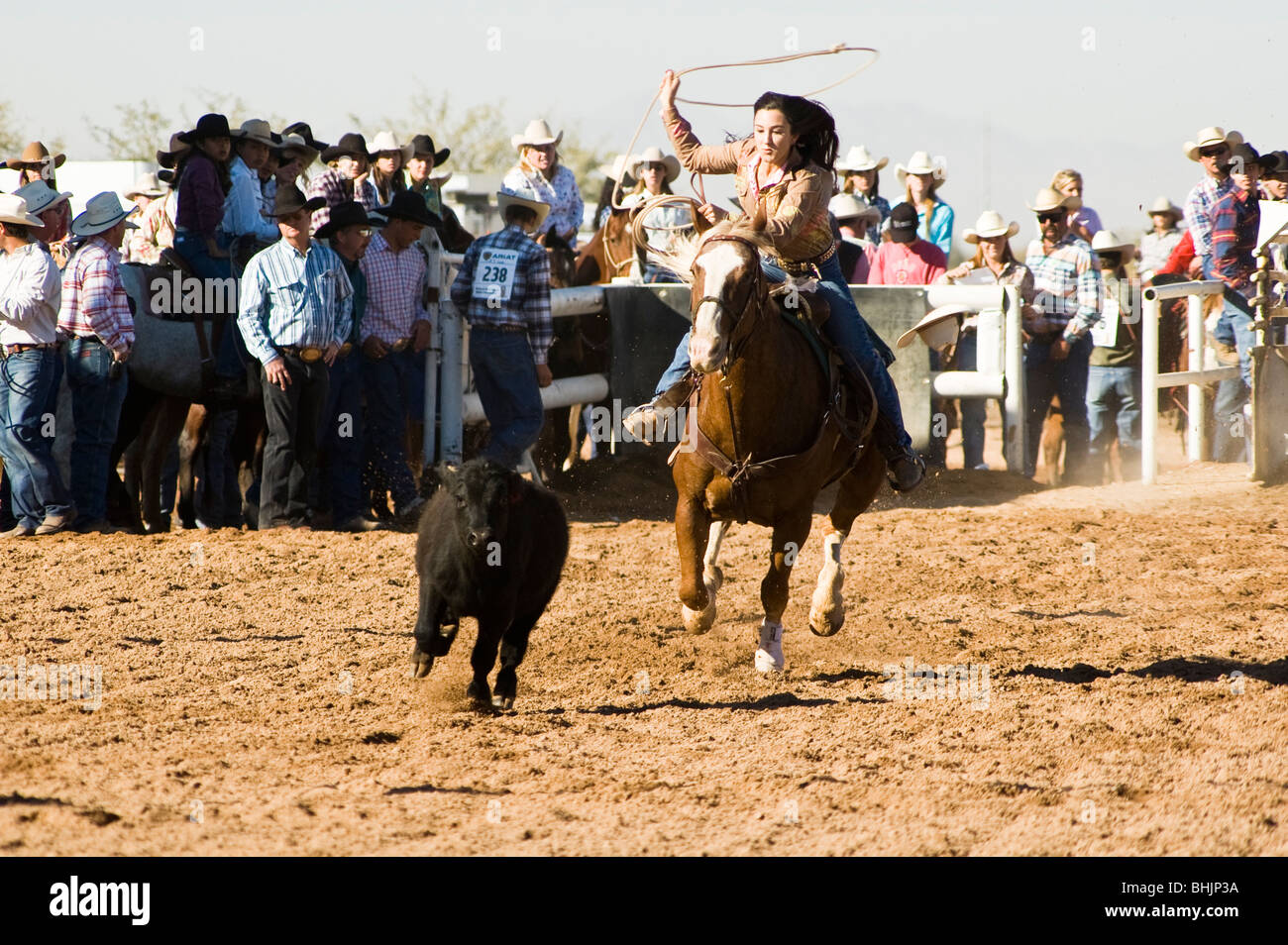 a cowgirl competes in the breakaway roping event during a high shcool rodeo Stock Photo