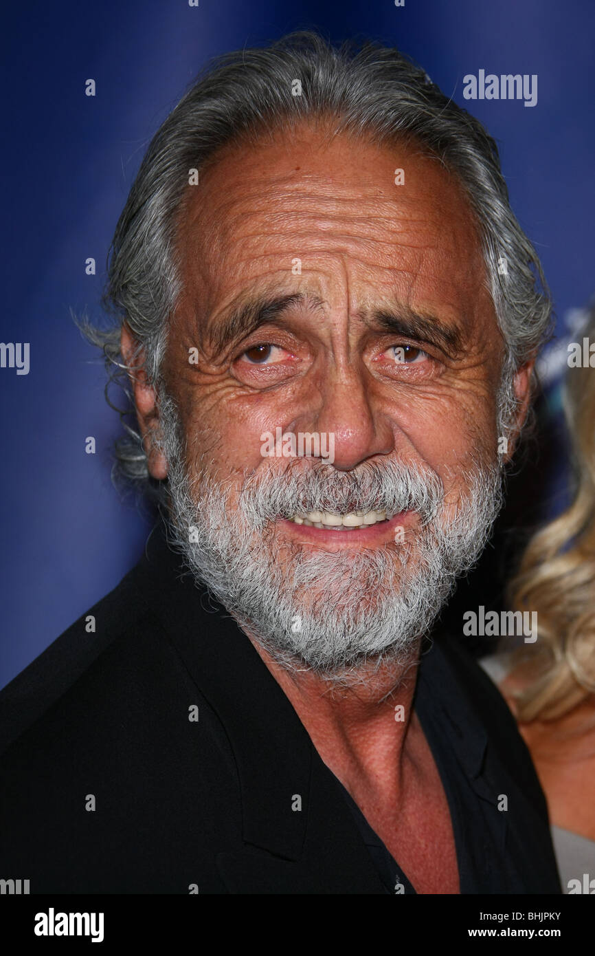 Tommy chong young photos