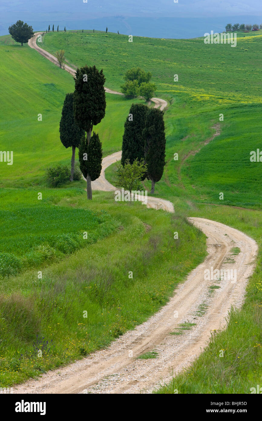 Italy, Tuscany, Near pienza winding road in landscape Stock Photo