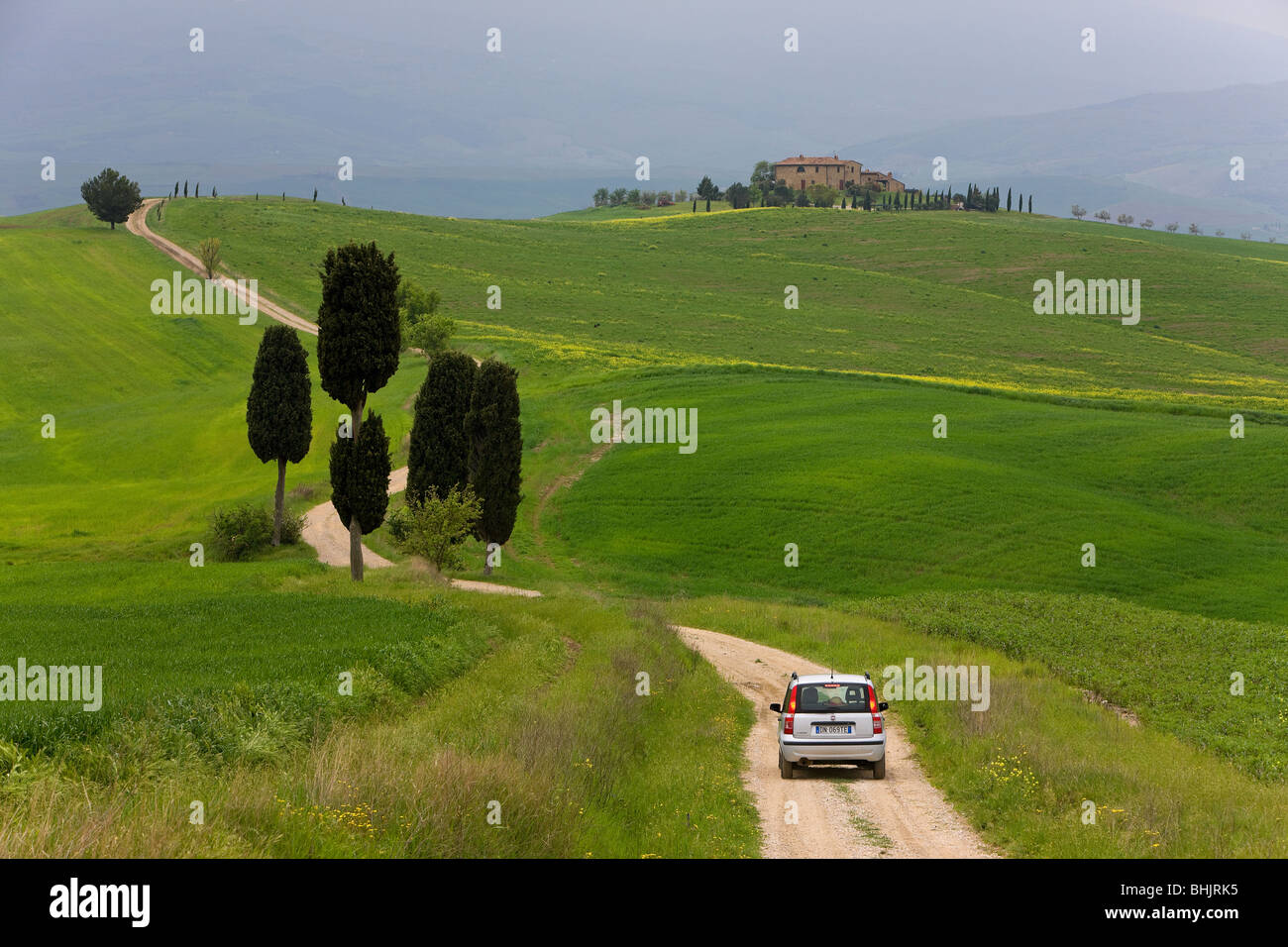 car heading towards farmhouse on winding road, Italy, Tuscany Stock Photo