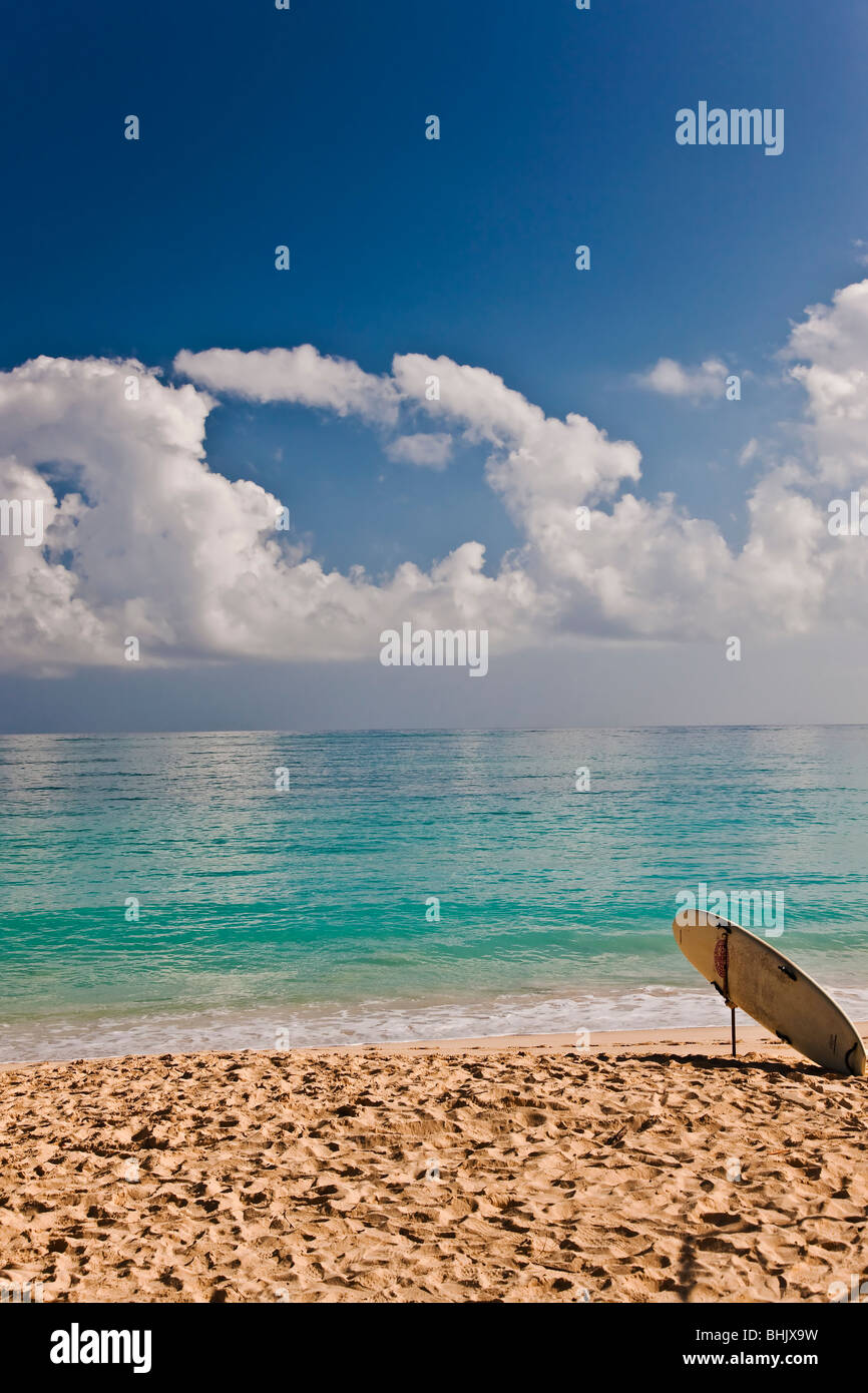 Hawaii beach surf hi-res stock photography and images - Alamy