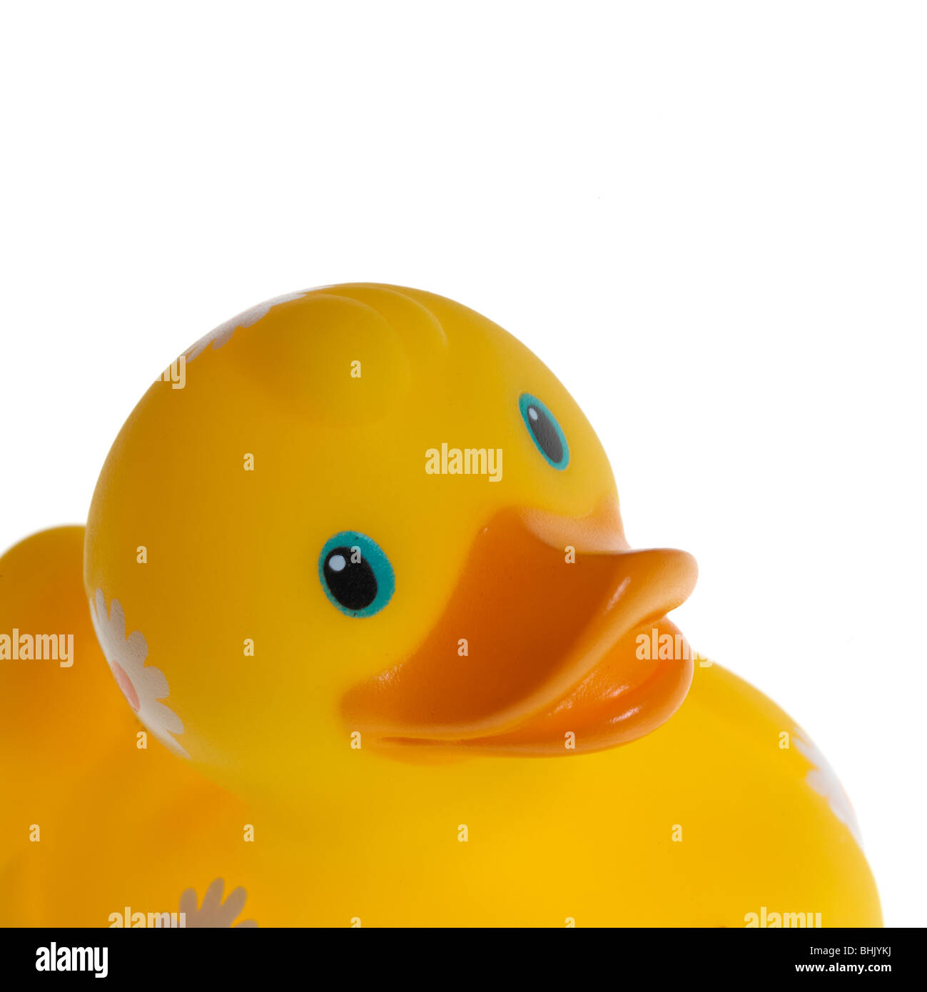 a yellow rubber duck on white background Stock Photo - Alamy