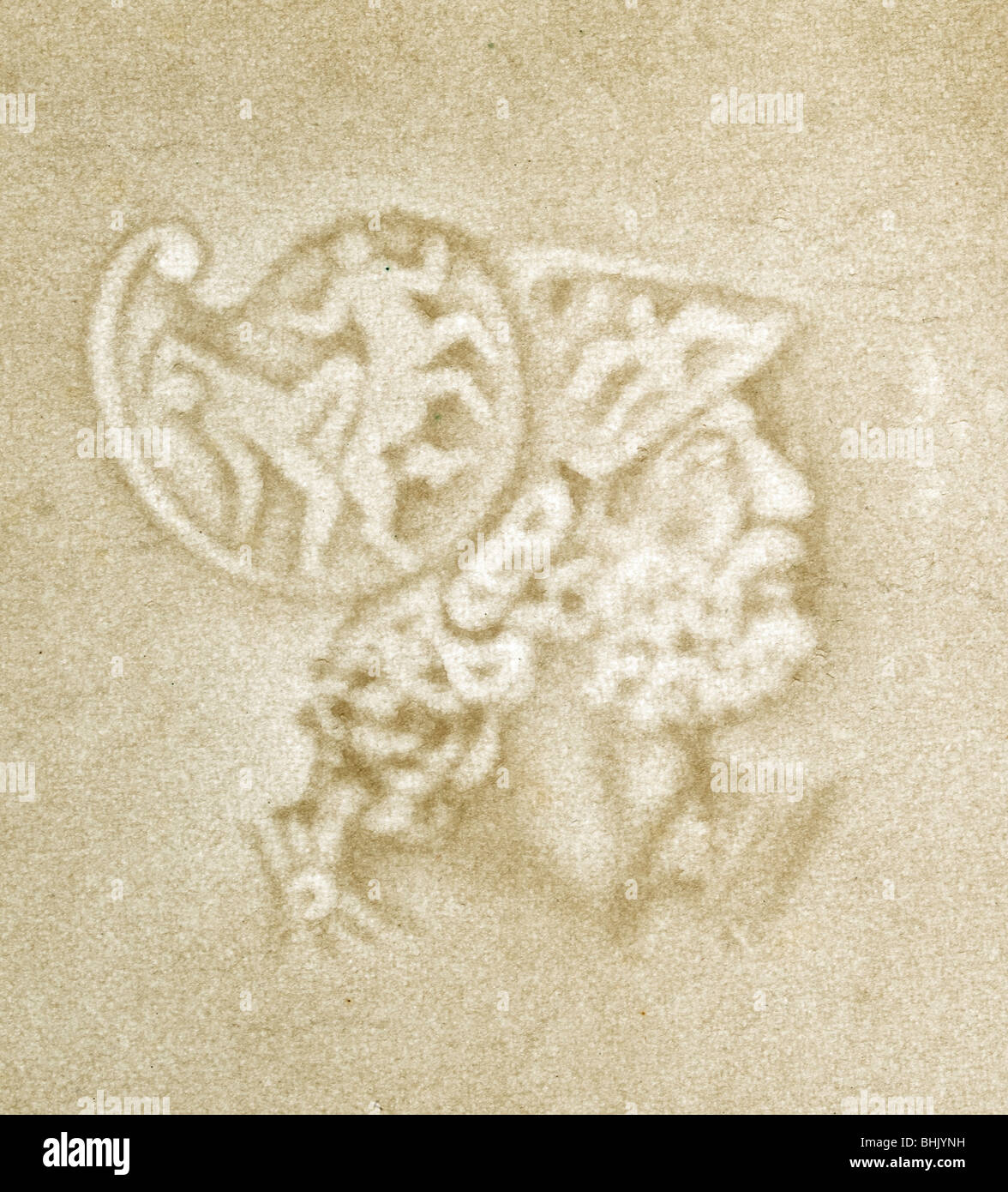 Beautifully detailed paper watermarks of famous landmarks and people