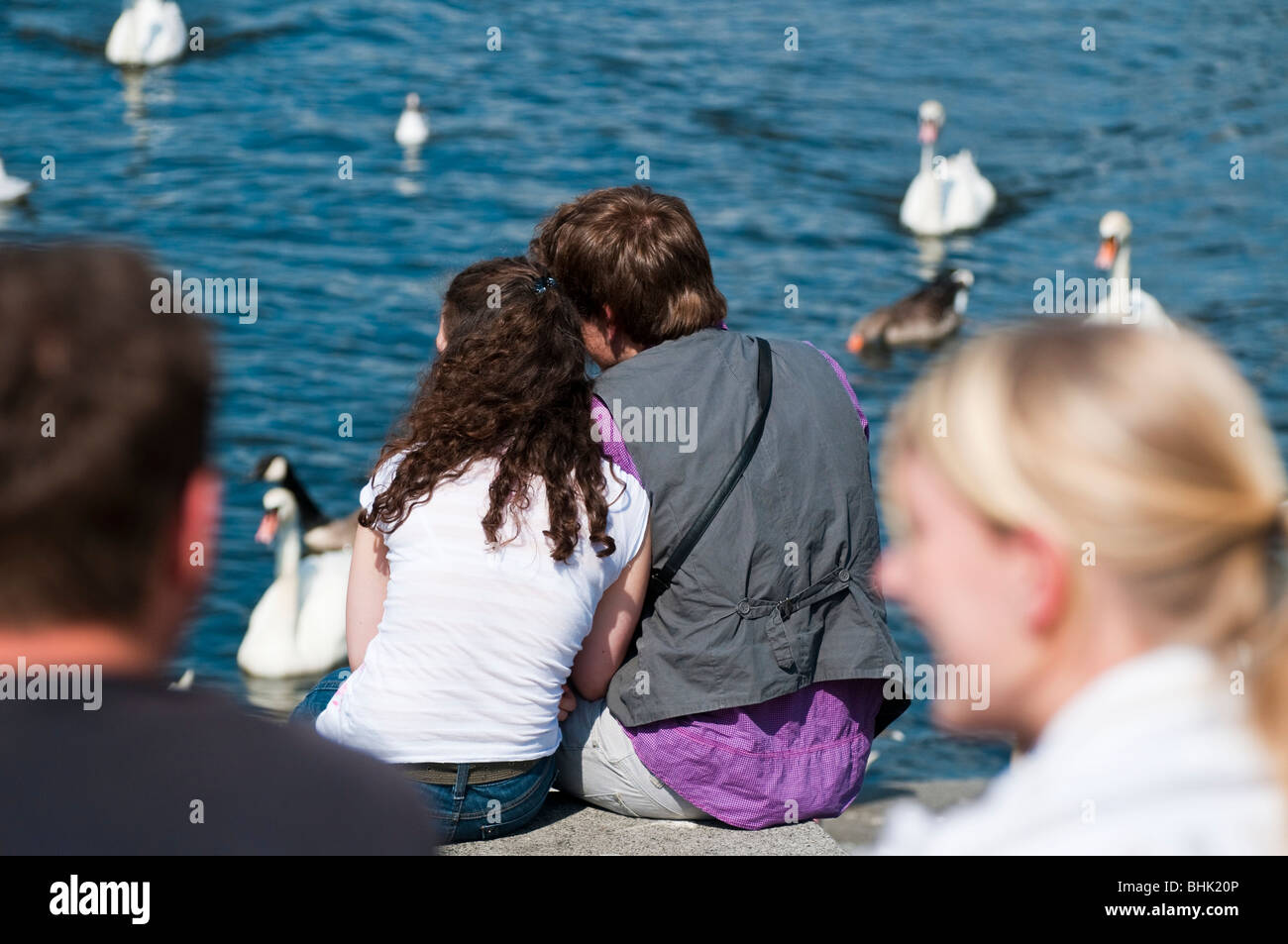 Junges Paar, Alsterschwaene am Rathaus, Hamburg, Deutschland | young cuple, Alster swans, Hamburg, Germany Stock Photo