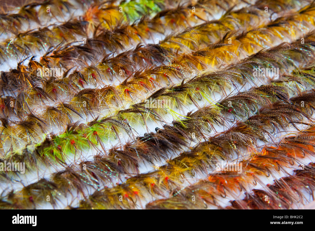A selection of flys for fishing Stock Photo
