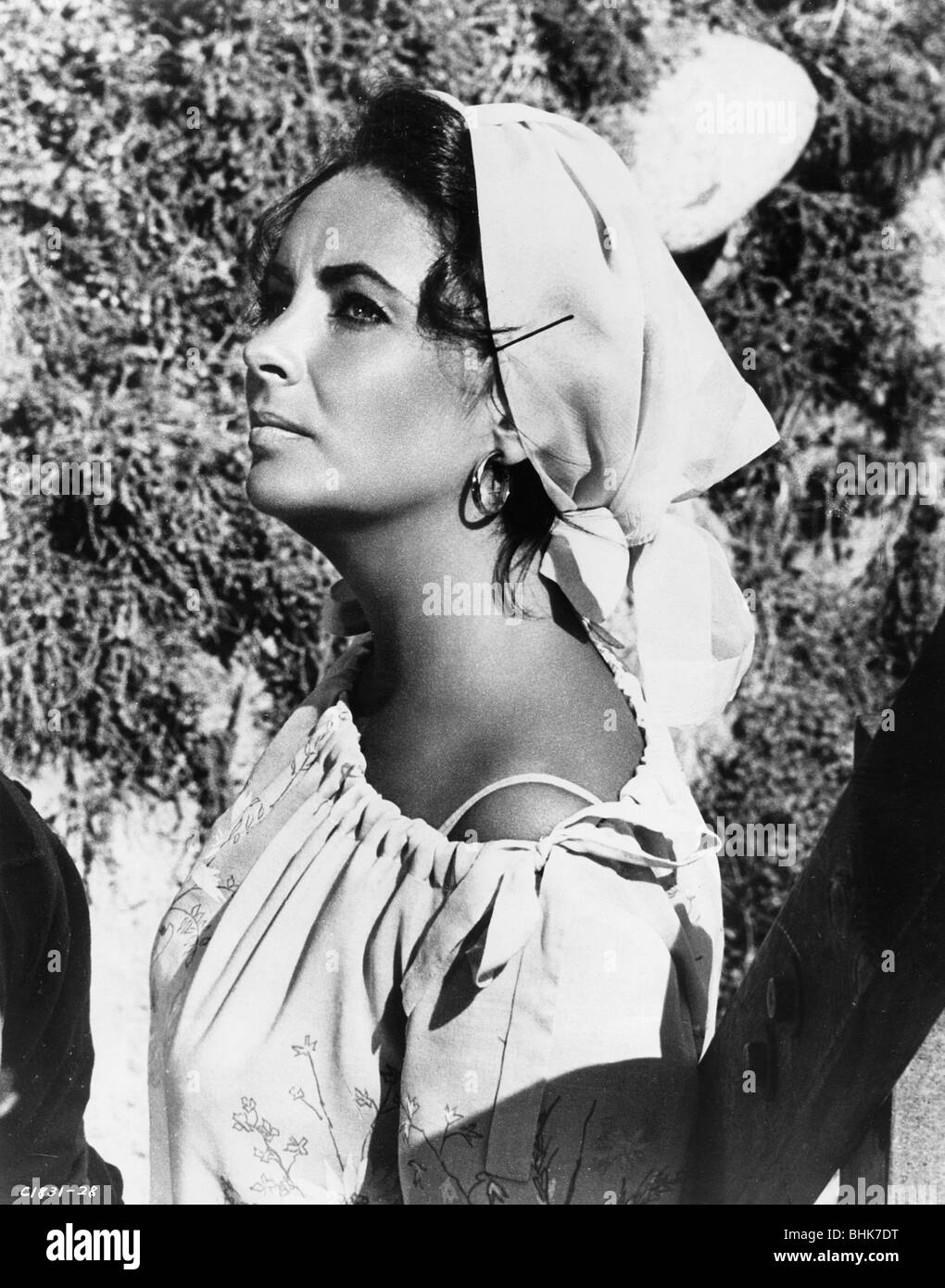 Elizabeth Taylor (1932-), British actress, 1965. Artist: Unknown Stock Photo