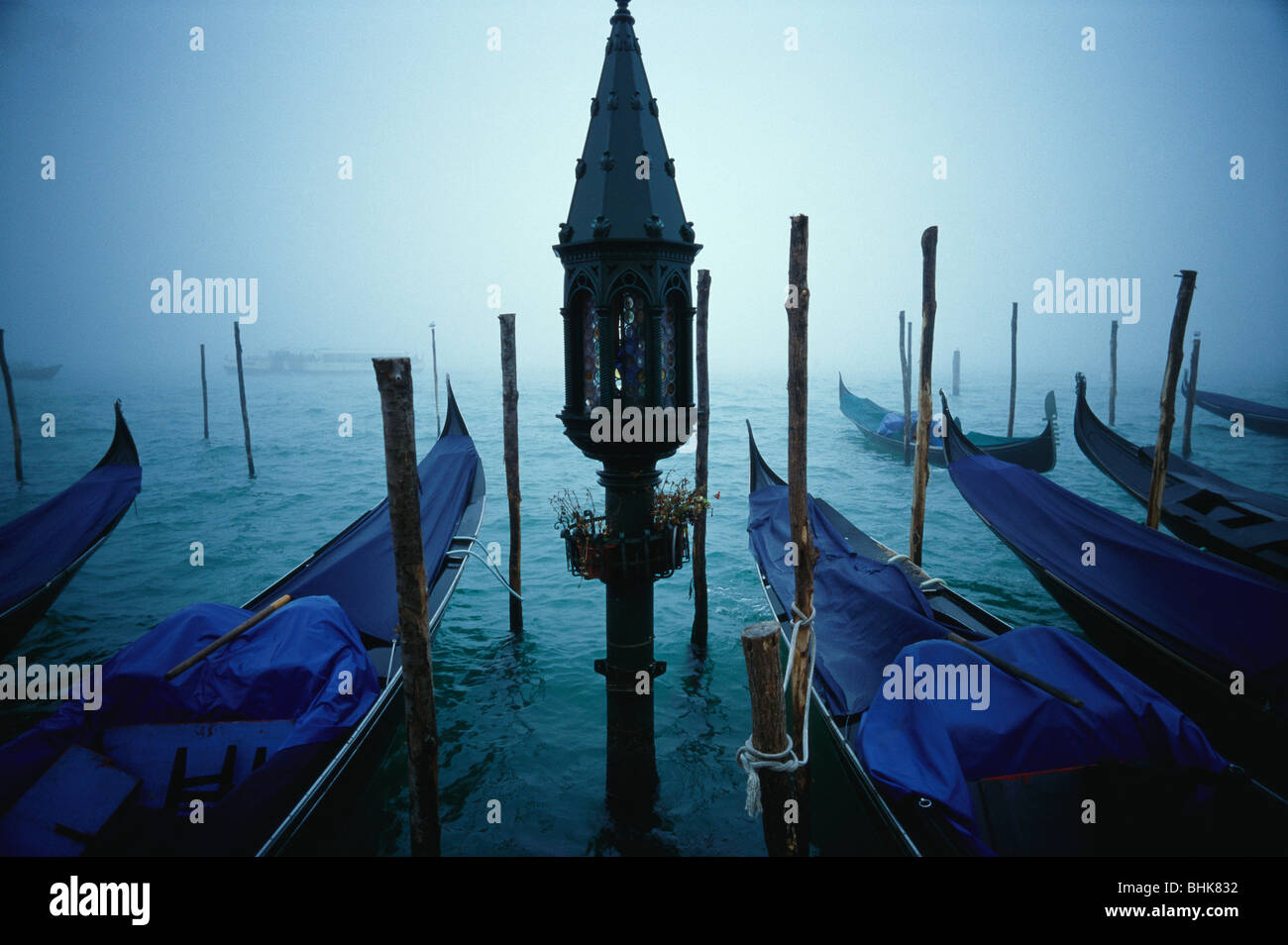 Italy, Venice. Gondolas tied up on the Bacino di San Marco. Stock Photo