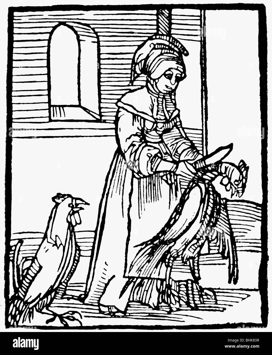 gastronomy, kitchen, woman slaughtering chicken, woodcut from 'Hortus sanitatis', Joh. Pryss, Strasbourg, circa 1497, Stock Photo