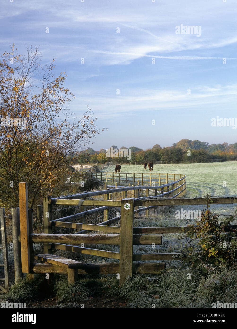 Sandhurst Berkshire England UK Britain. Footpath and stile on a frosty morning in November autumn Stock Photo