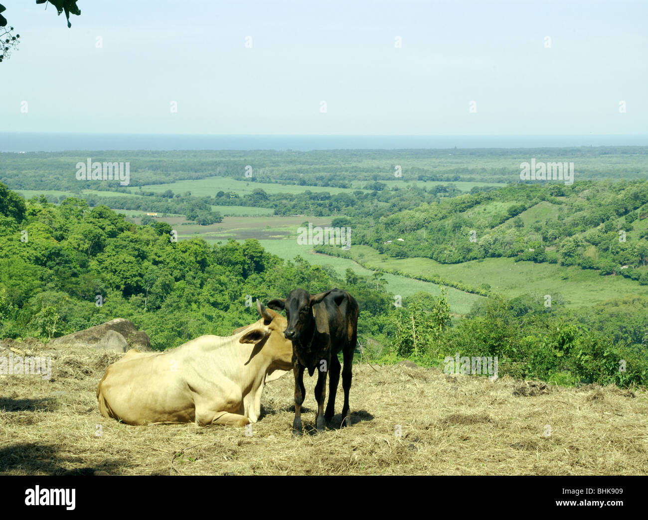 El Salvador. Landscape in Ahuachapán Stock Photo - Alamy