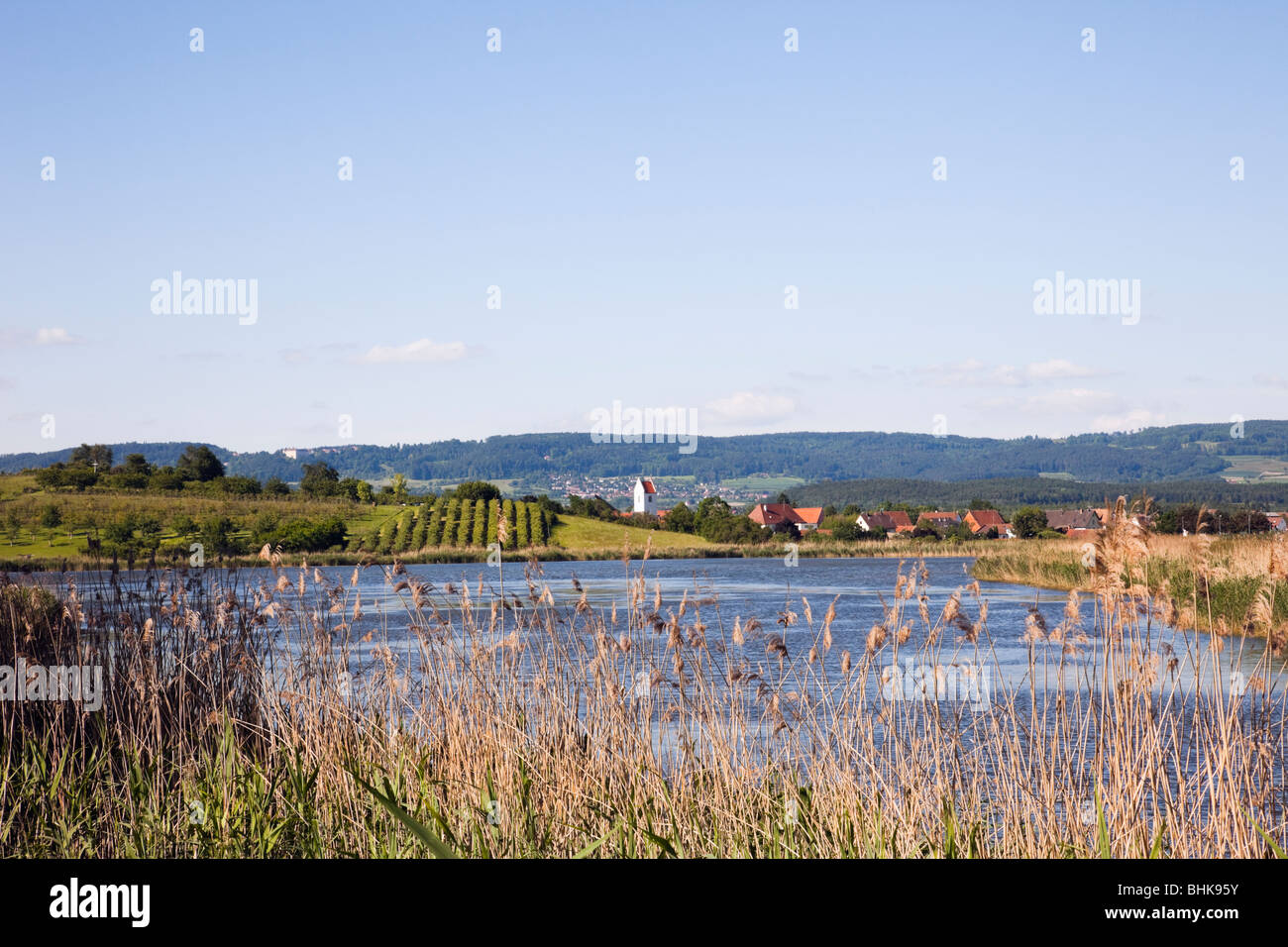 Mimmenhausen, Baden-Wurttemberg, Germany, Europe. View across lakeside reeds to the small country village Stock Photo