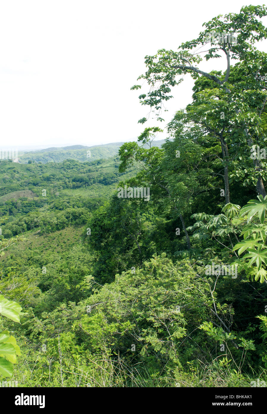 El Salvador. Landscape in Ahuachapán Stock Photo - Alamy
