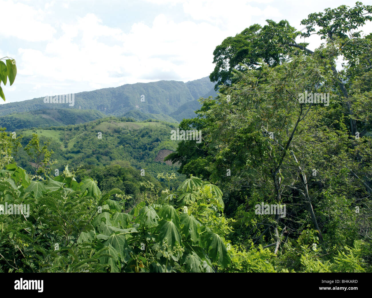 El Salvador. Landscape in Ahuachapán Stock Photo - Alamy