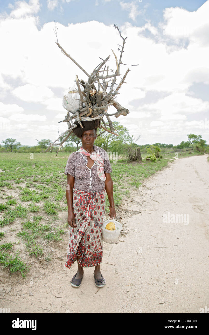 Black South African woman carrying a large bundle of sticks for firewood on her head up a dust track in South Africa Stock Photo