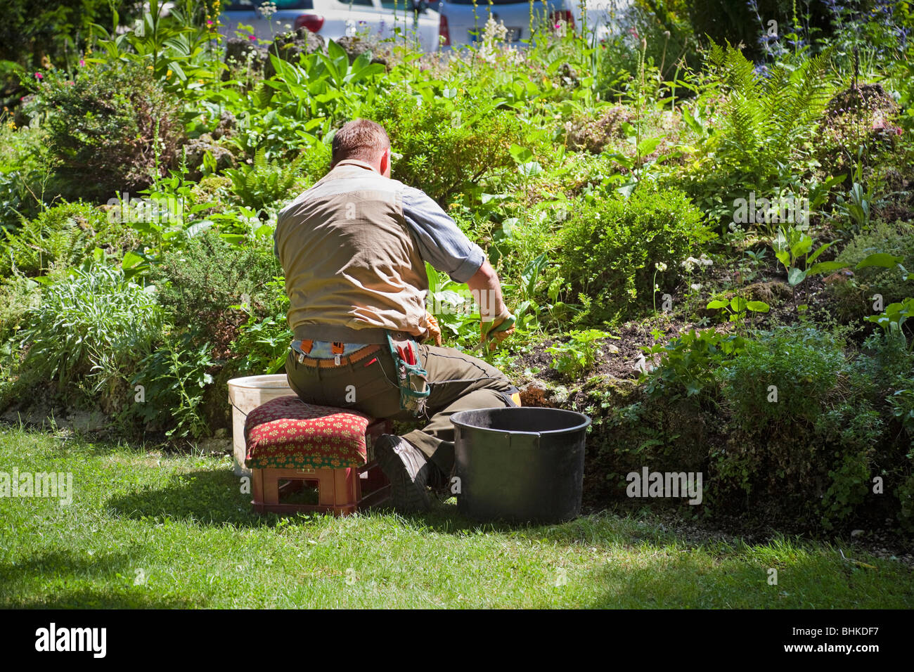 Gardener weeding a flower bed, Germany Stock Photo
