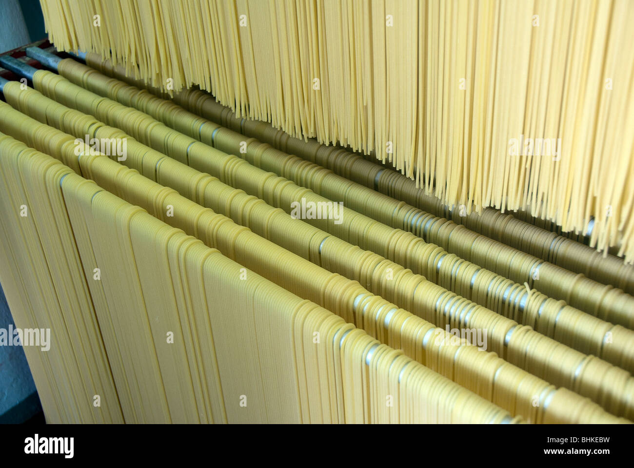 Family owned and run pasta factory in Lari, Italy: Martelli Famiglia di pastai Stock Photo