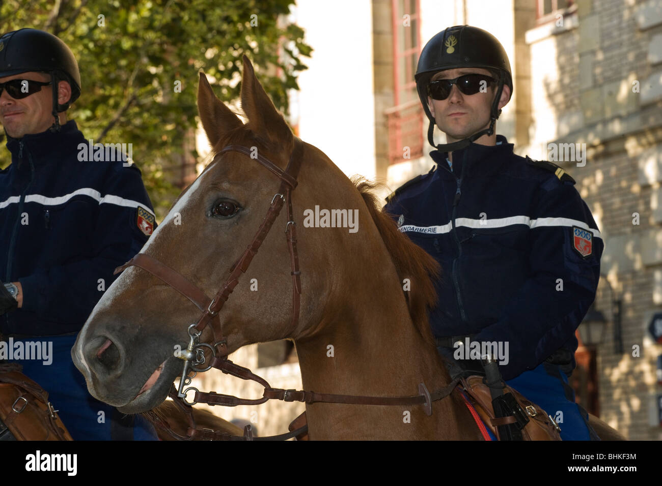 Cavalry French Army Horse Military rider Guard Stock Photo Alamy