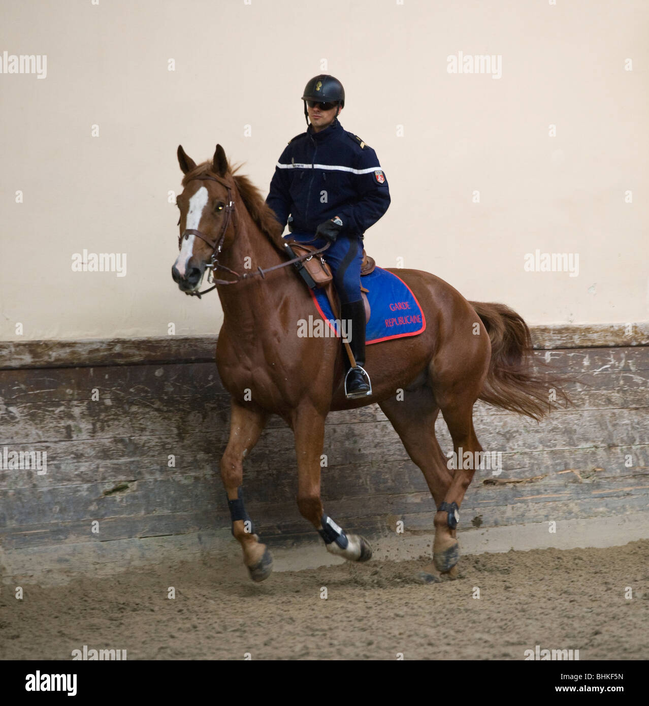 Cavalry French Army Horse Military Stock Photos & Cavalry French Army