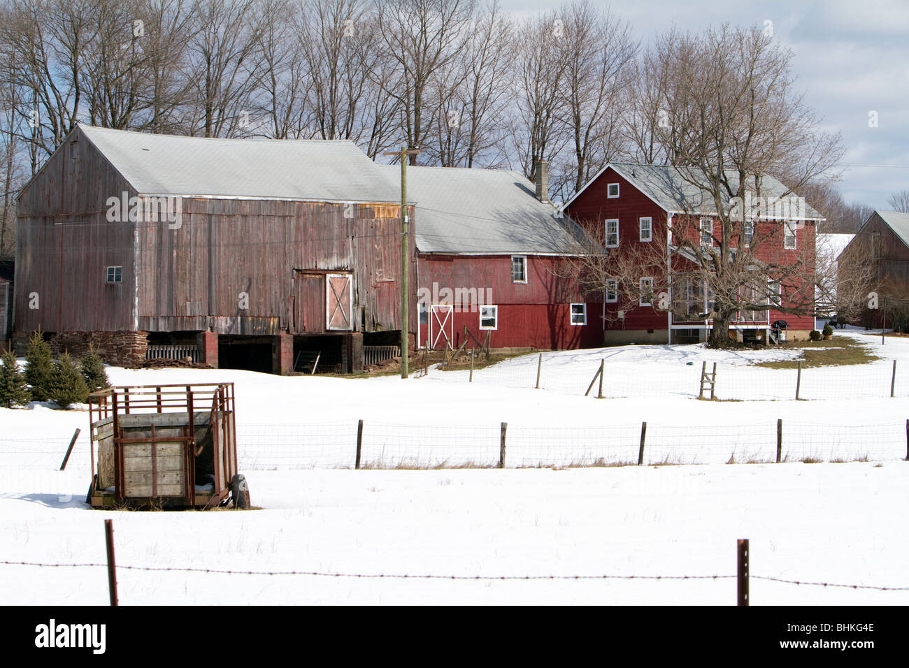 A winter farm scene. An old farm trailer in a snow covered field with a  house and two attached barns Stock Photo - Alamy