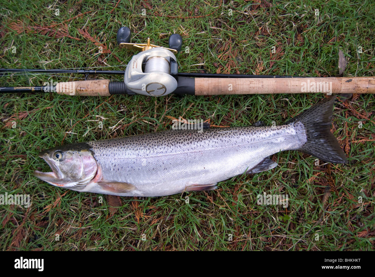 Fishing Washington Stock Photos - 4,212 Images