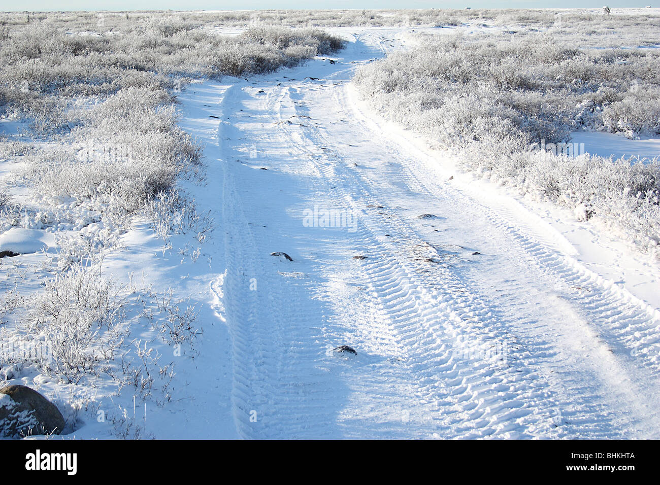 Hoare Frost on the Tundra, Churchill, Canada. Stock Photo
