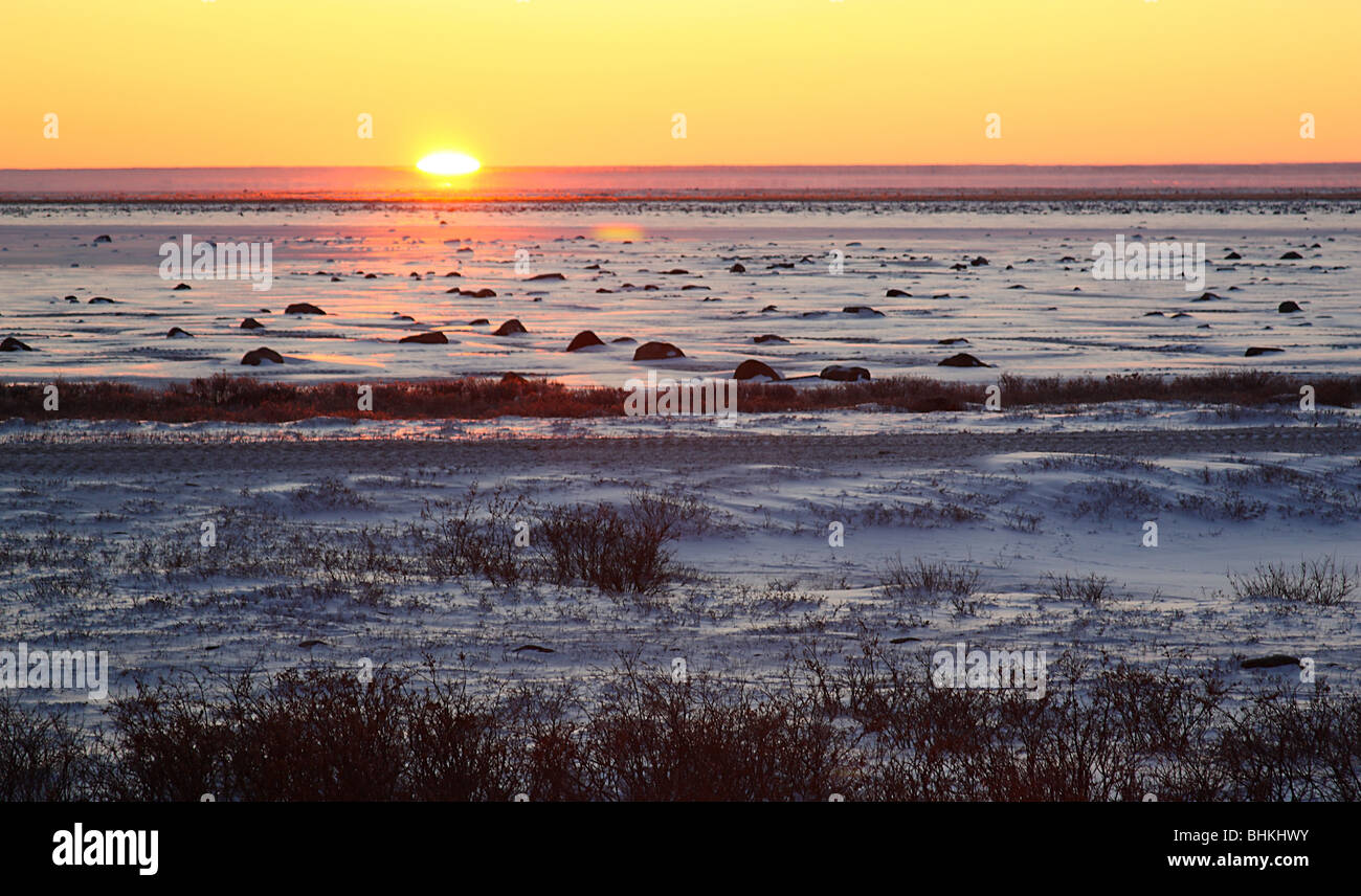 Sunset on the tundra at Churchill, Manitoba, Canada, North America. Stock Photo