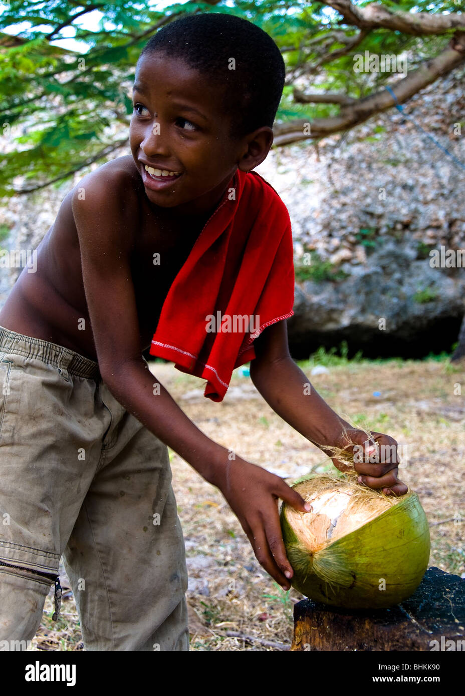Boy collecting coconuts, Watamu, Kenya, Africa Stock Photo Alamy