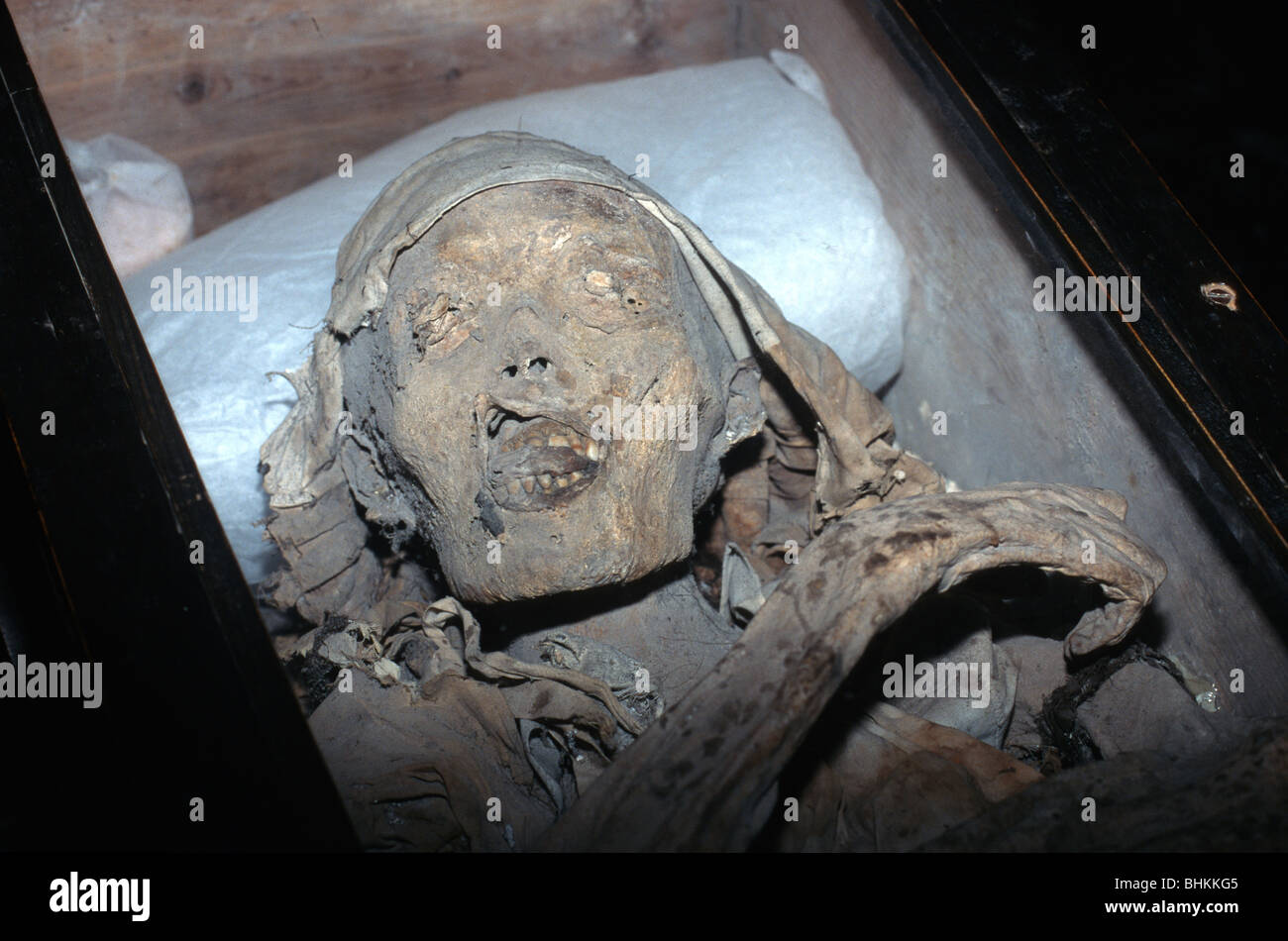 Clothed mummified corpse in a coffin in the catacombs in the Templo del Carmen, Mexico City, Mexico. Stock Photo