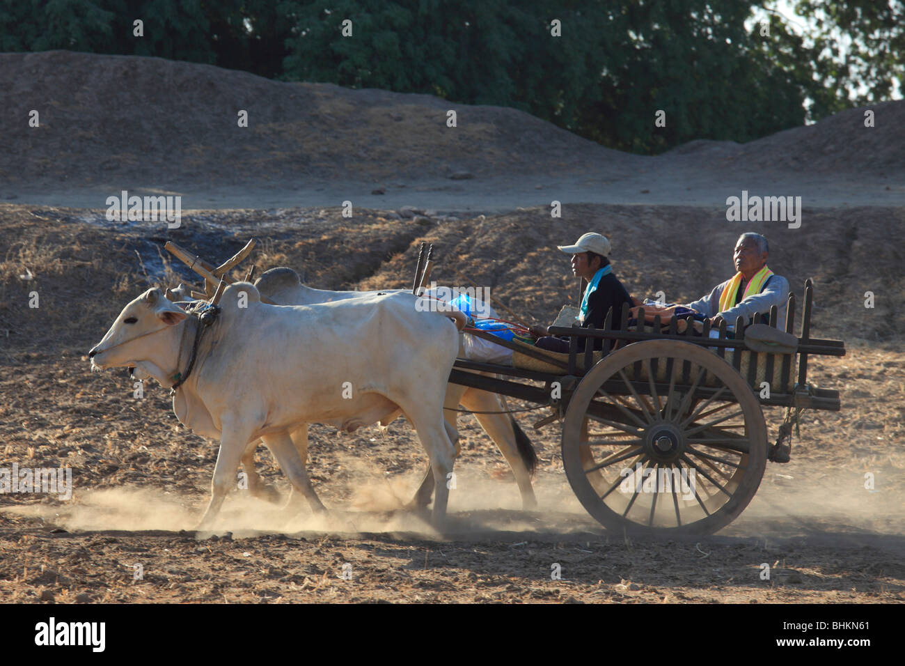 Myanmar, Burma, Bagan, bullock cart, people, rural life Stock Photo