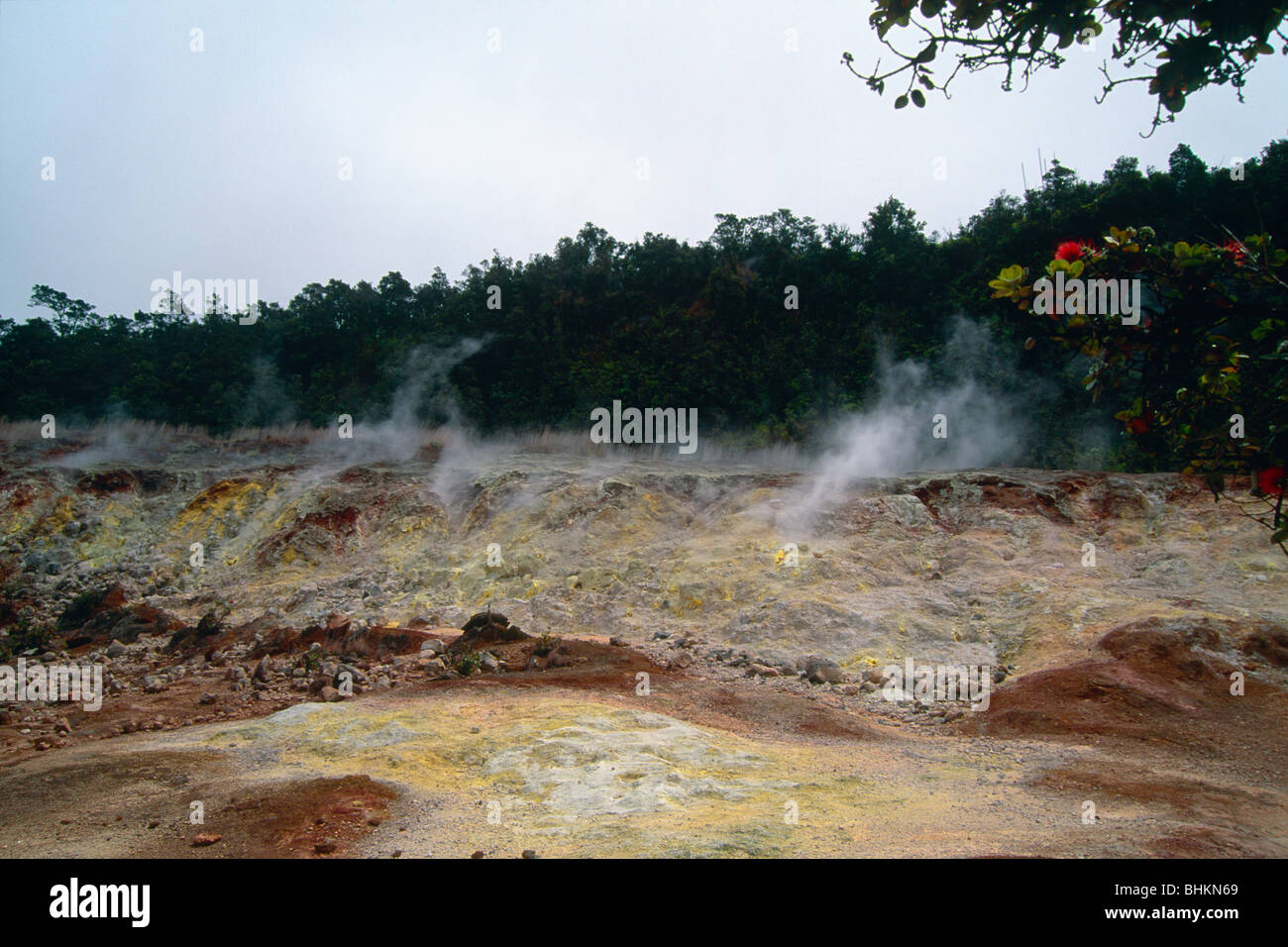 Steaming Sulfur Banks, Volcanoes National Park, Big Island, Hawaii Stock Photo