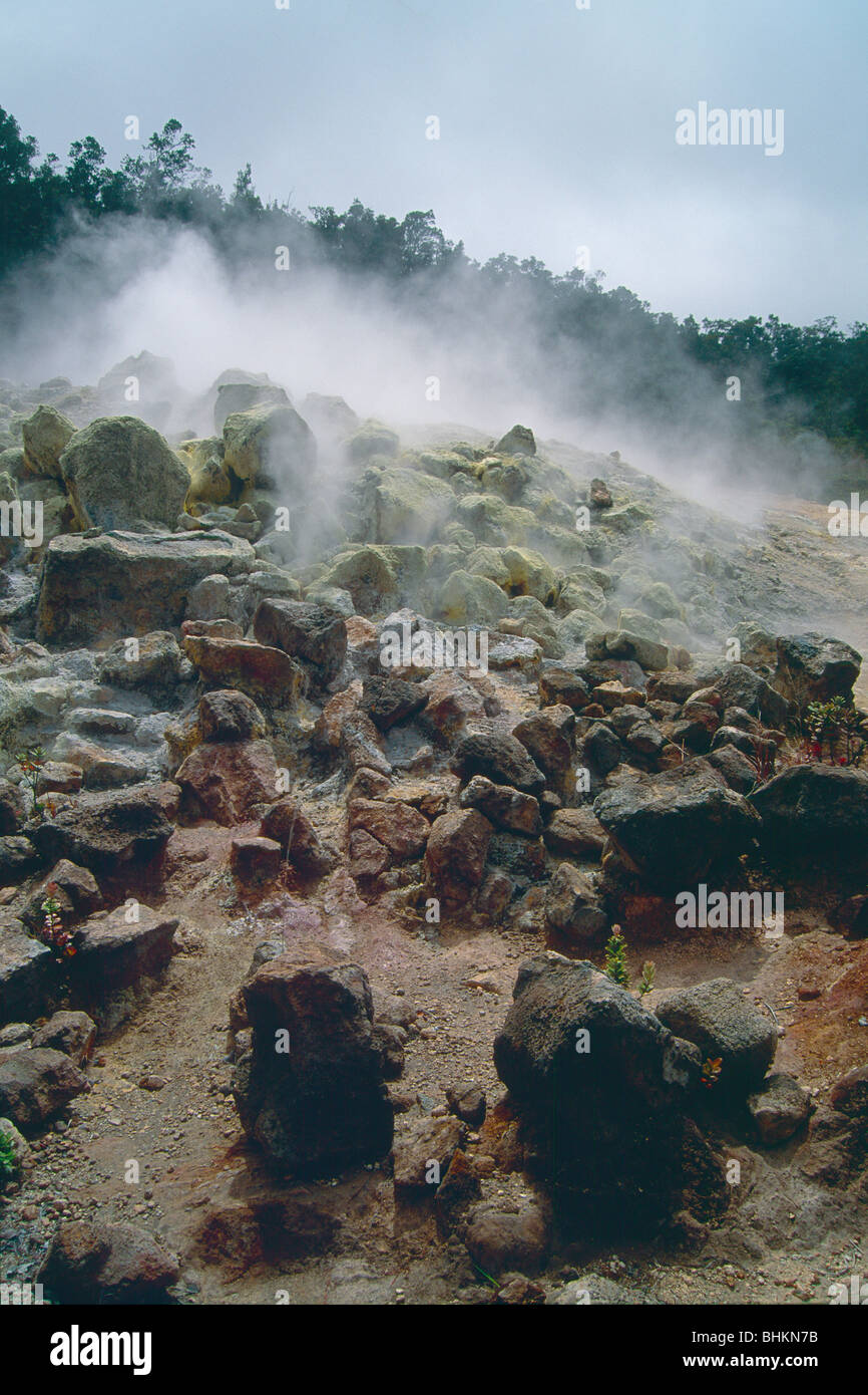 Pile of Steaming Rock, Sulfur Banks, Volcanoes National Park, Hawaii Stock Photo