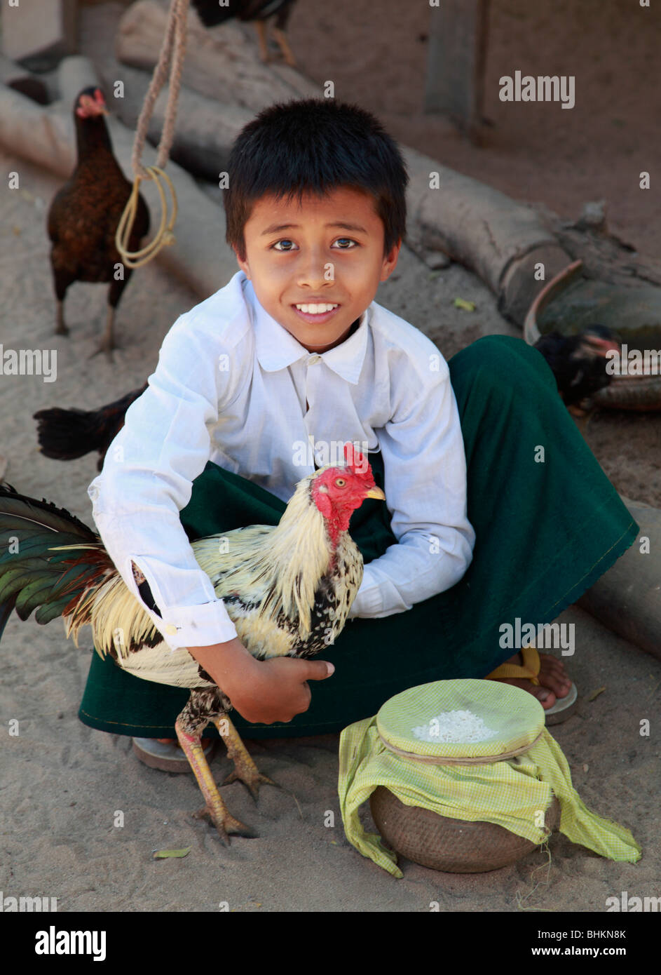 Myanmar, Burma, near Bagan, boy with pet cockerel Stock Photo