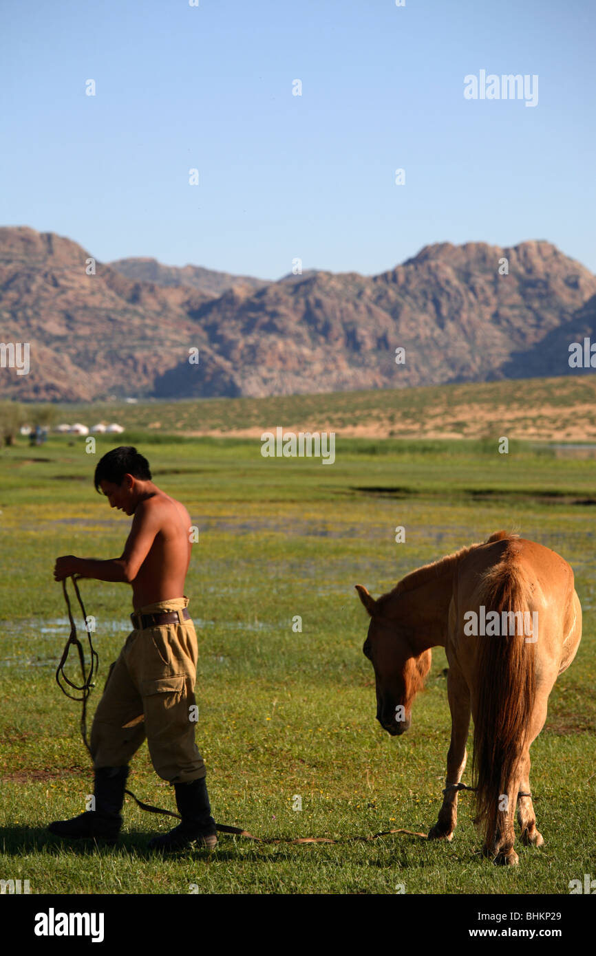 Horses and Mongolian man in the steppe, Mongolia Stock Photo - Alamy