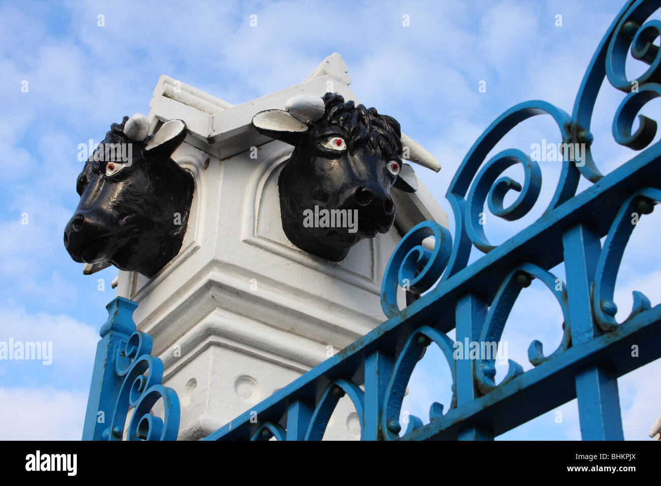 Old cattle market hires stock photography and images Alamy