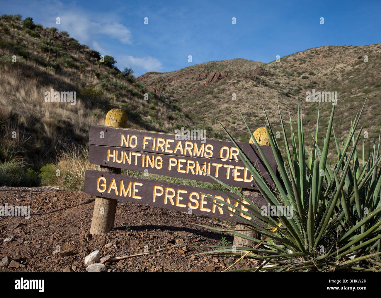 No firearms or hunting sign for game preserve Franklin mountain state park Texas USA Stock Photo