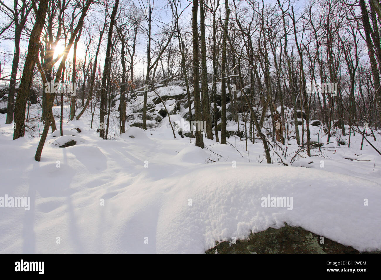 Appalachian Trail, Near Hightop, Shenandoah National Park, Virginia Stock Photo