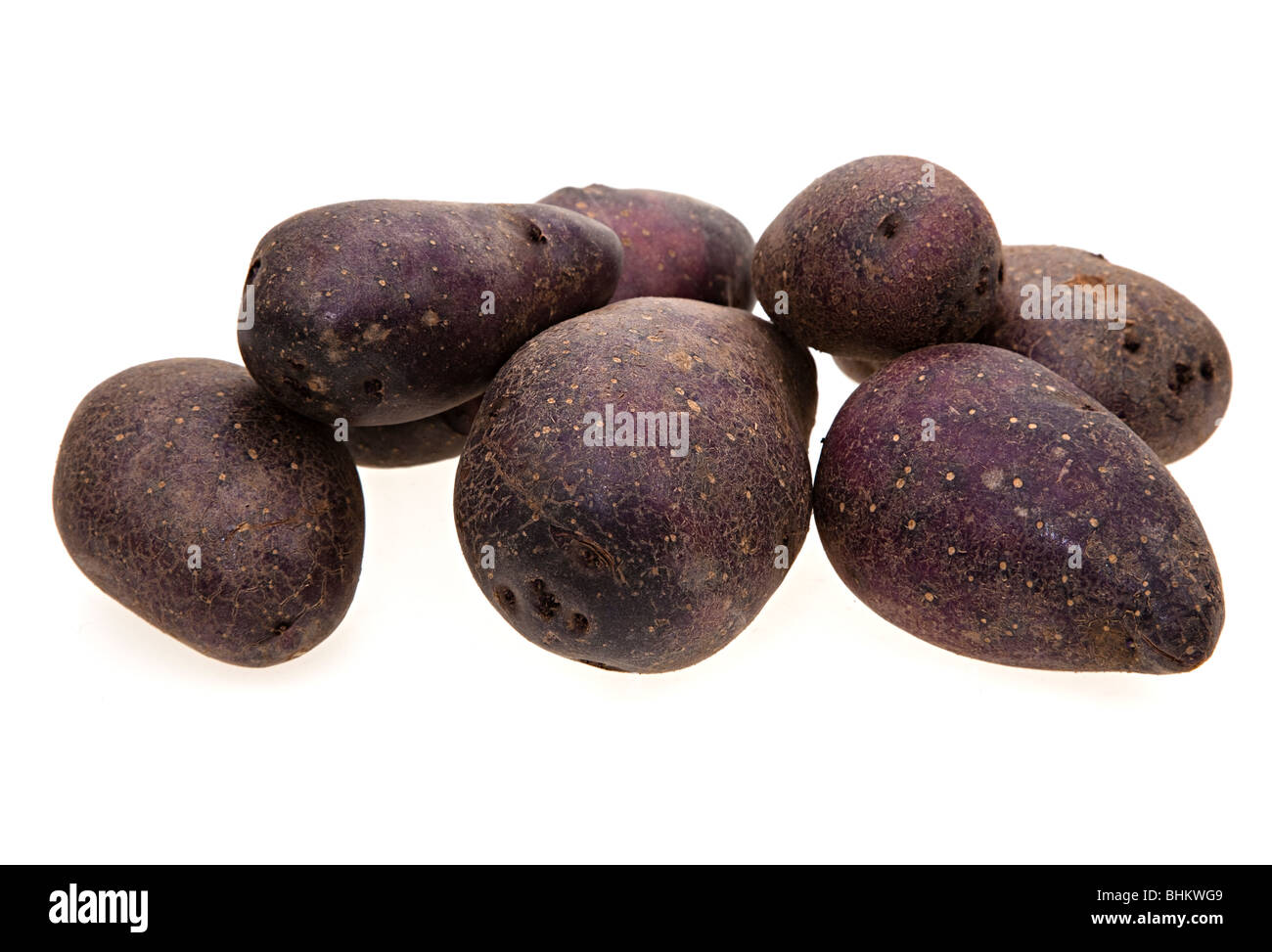 Shetland Black variety of potato UK Stock Photo