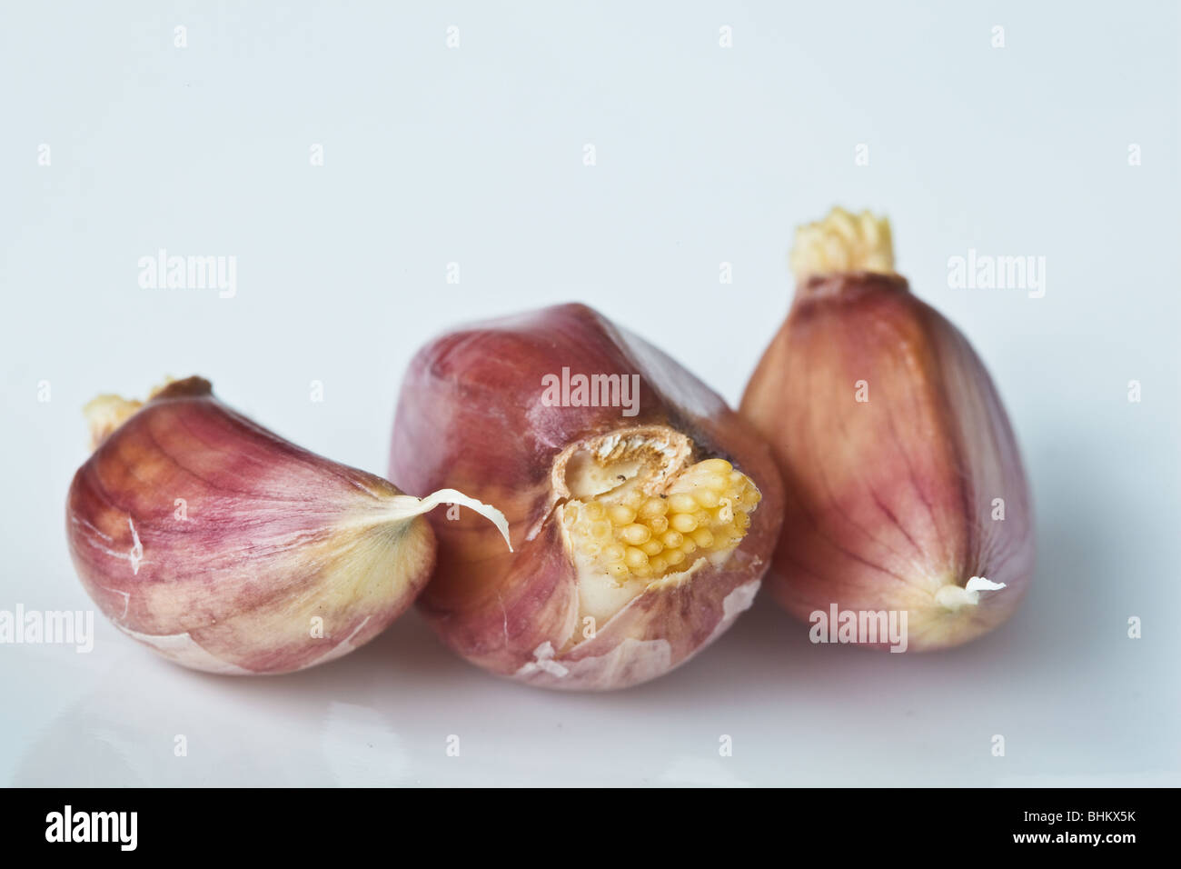 Garlic cloves hires stock photography and images Alamy