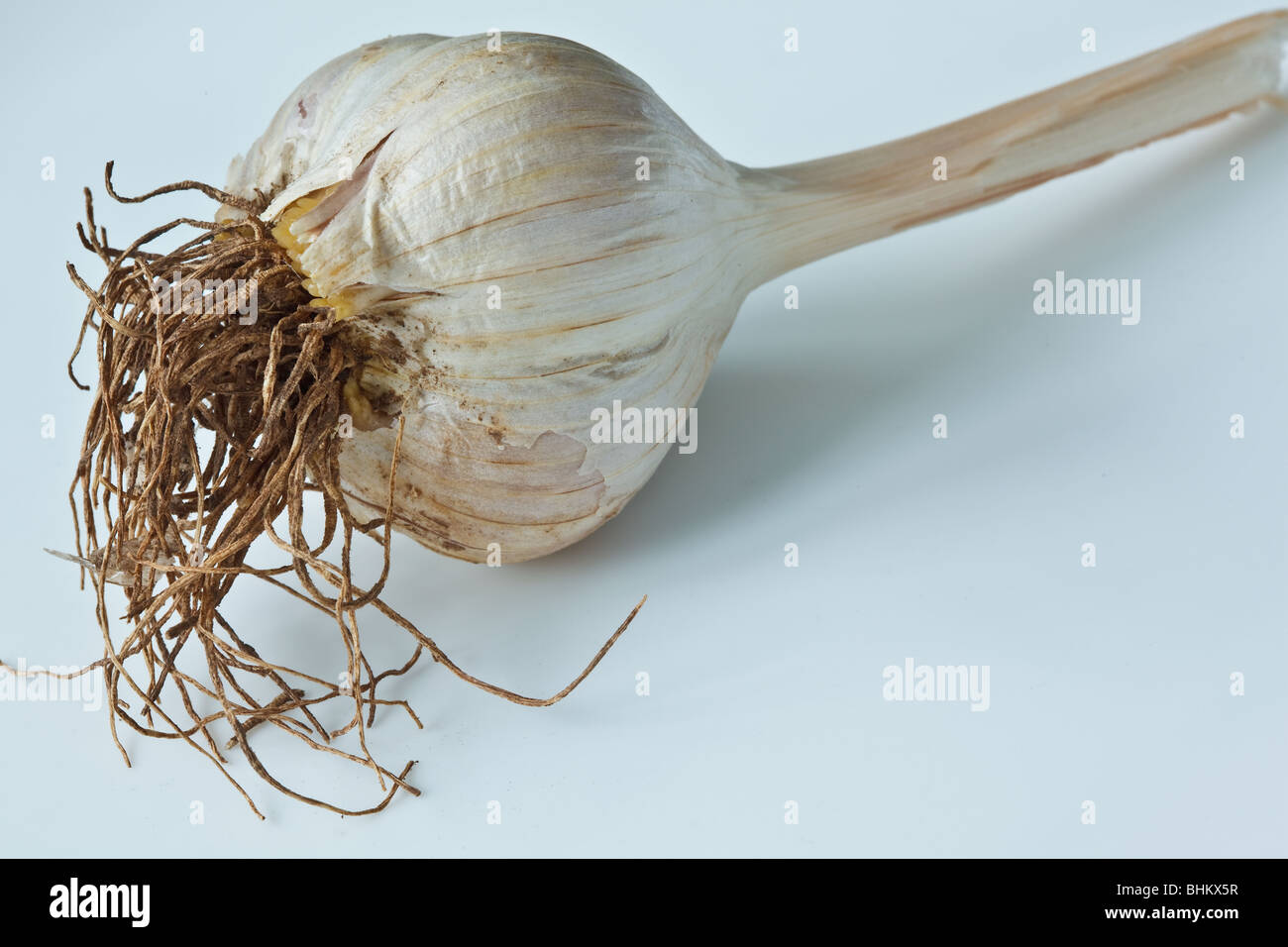 Close-up image of a garlic bulb Stock Photo