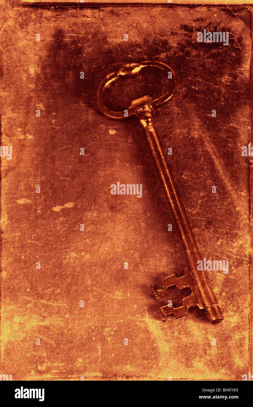 Big brass skeleton key Stock Photo Alamy