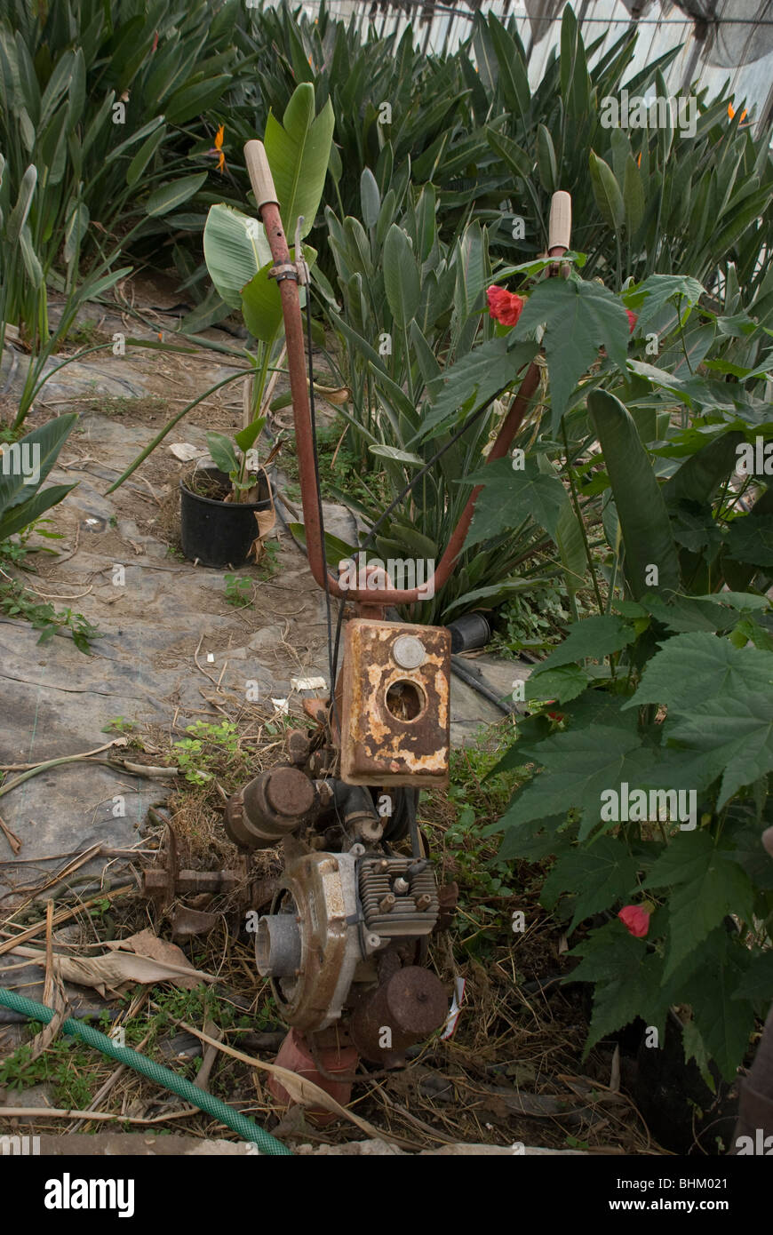 old disused rotary tiller in a greenhouse Stock Photo