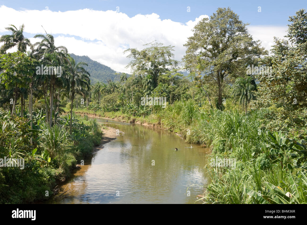 Panama chiriqui highlands hi-res stock photography and images - Alamy