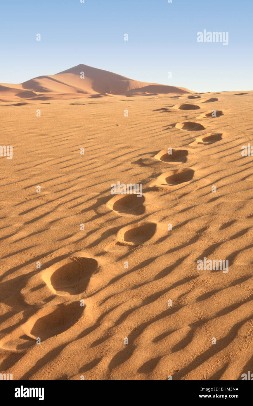 Camel footprints across Erg Chebbi sand dunes in the Sahara Desert near Merzouga, Morocco Stock Photo