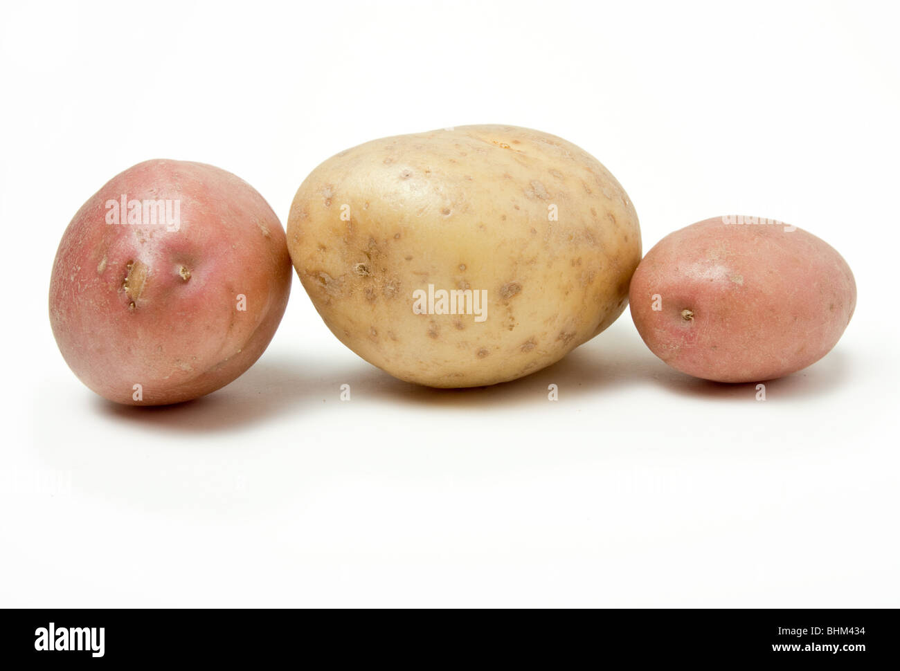 Potato Line up of two red skins and one large baking potato against white background. Stock Photo